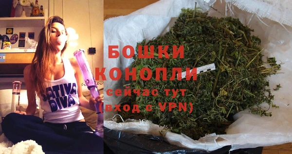 дмт Бронницы