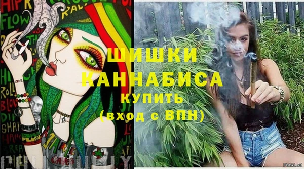 гидра Бородино